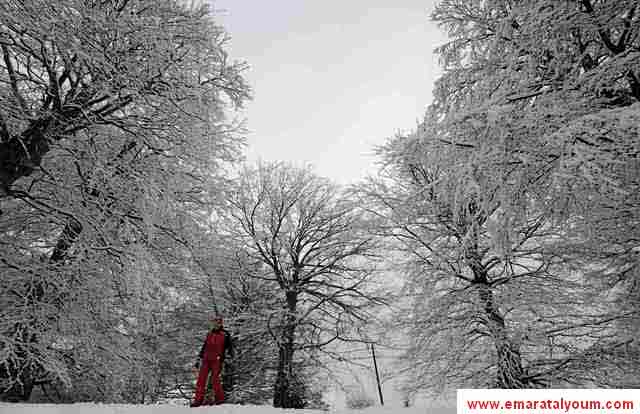 موسم الشتاء في بعض الدول الاوروبية،حيث تتزين الطبيعة ببياض الثلج، وانوار احتفالات اعياد الميلاد، ومتعة رياضة التزلج.  المصدر-د.ب.أ