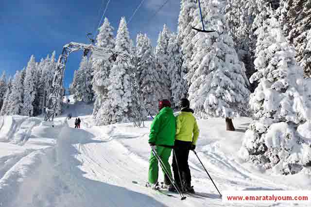 المصدر-د.ب.ا