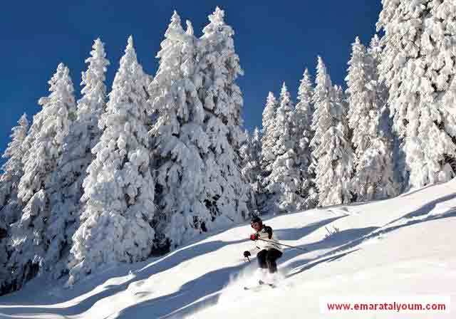 المصدر-د.ب.ا