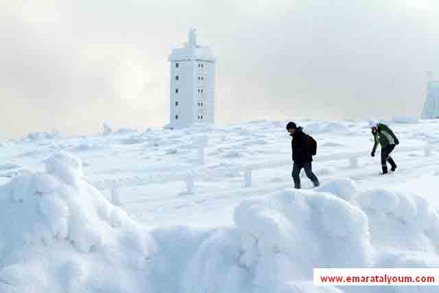 المصدر-د.ب.أ
