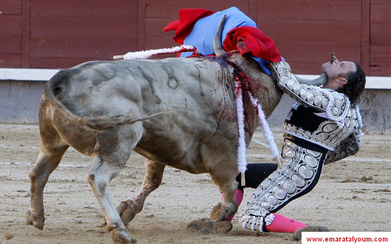 بمناسبة نهاية عام 2010، ينشر موقع الإمارات اليوم مجموعة من الصور المميزة التي التقطتها عدسة الكاميرا.. نطحة القرن..نجا المصارع الإسباني،خوليو أباريسيور، من الموت رغم نفاذ قرن "خصمه" الثور في حلقه-أ.ب