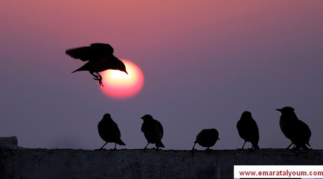 المصدر-ا.ف.ب