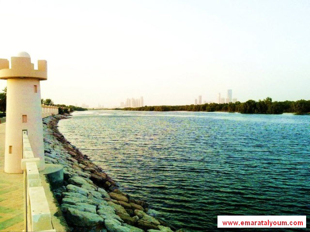 صور بعدسة القارئ : محمد رضوان