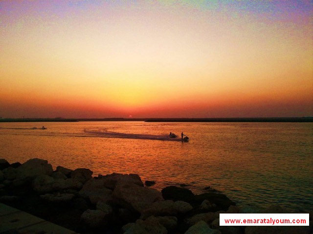 صور بعدسة القارئ : محمد رضوان