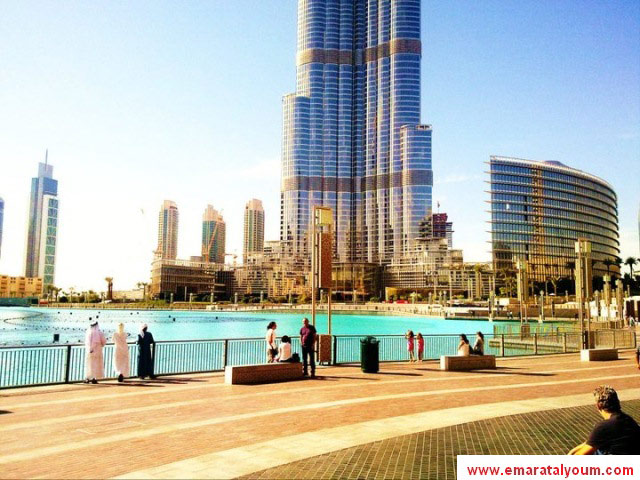 صور بعدسة القارئ : محمد رضوان