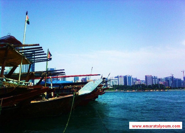 صور بعدسة القارئ : محمد رضوان