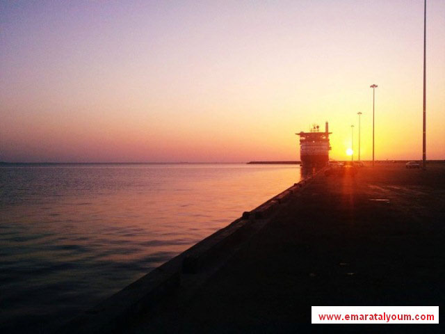 صور بعدسة القارئ : محمد رضوان