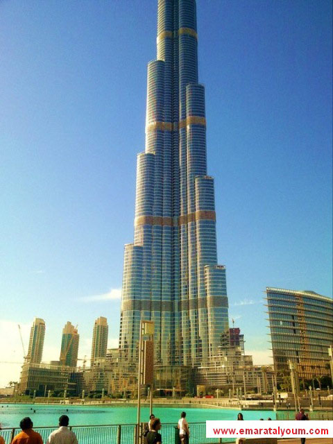 صور بعدسة القارئ : محمد رضوان