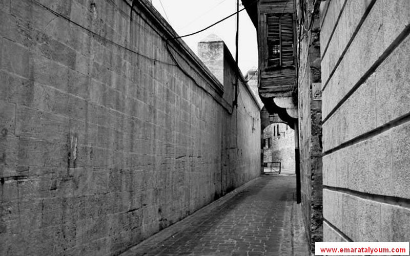 تصوير: القارئ محمد عارف