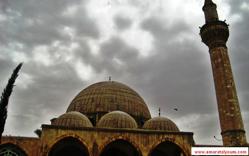 تصوير: القارئ محمد عارف