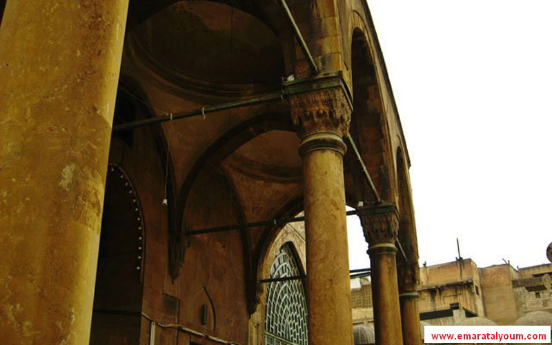 تصوير: القارئ محمد عارف