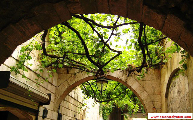 تصوير: القارئ محمد عارف