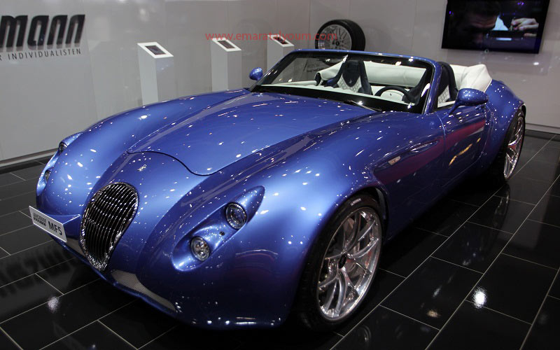 فايزمان أم أف 5. أ ف ب