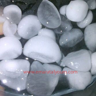 خورفكان . القارئة عهود