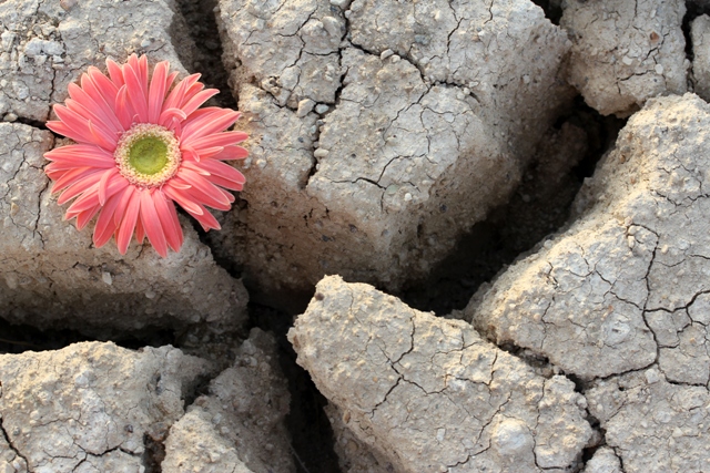 بعدسة القارئة: عاشقة الصحراء