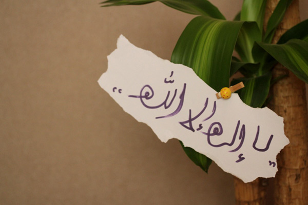 الصور بعدسة القارئة عاشقة الصحراء