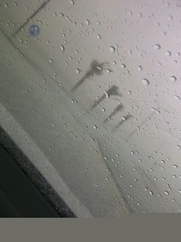 بعدسة القارئ أحمد عبدالله سلطان الظاهري