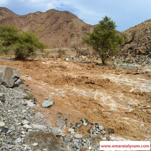 وادي العجيلي - القارئ علي المحرزي