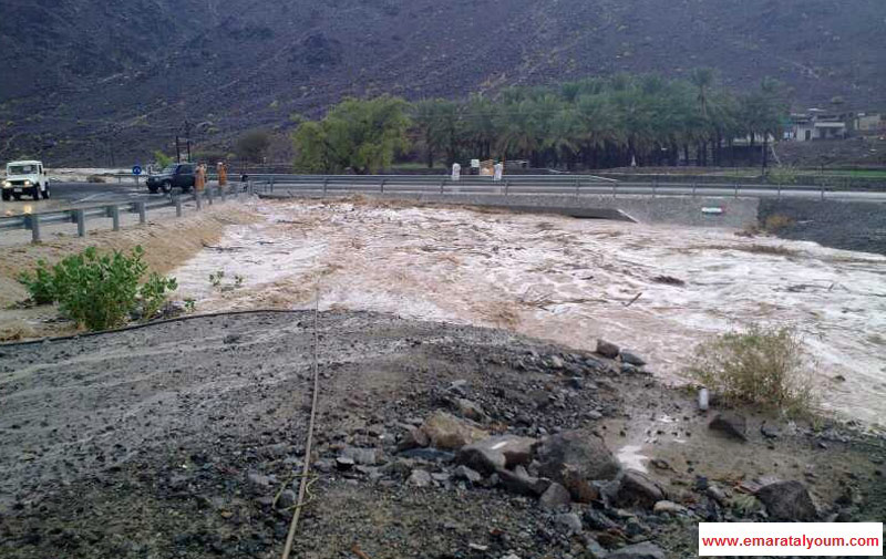 وادي العجيلي . القارئ علي المحرزي