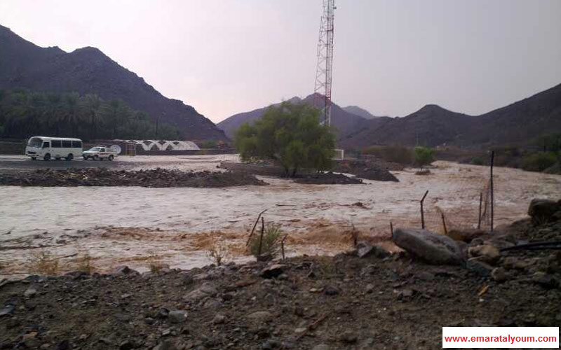 وادي العجيلي - القارئ علي المحرزي