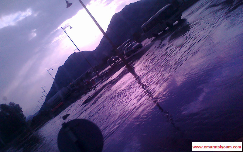 الفجيرة. القارئ السويدي