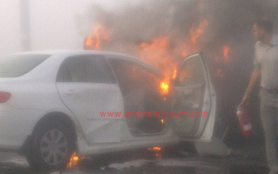 الصورة بعدسة القارئة: حور