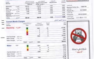 الصورة: شعار &laquo;أتعهد&raquo; على فواتير &laquo;كهرباء دبي&raquo;