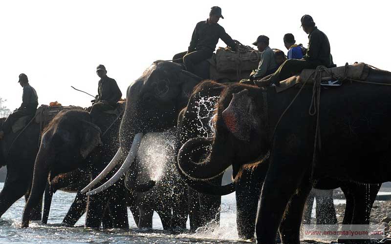 حمام بعد يوم مجهد. أ ف ب