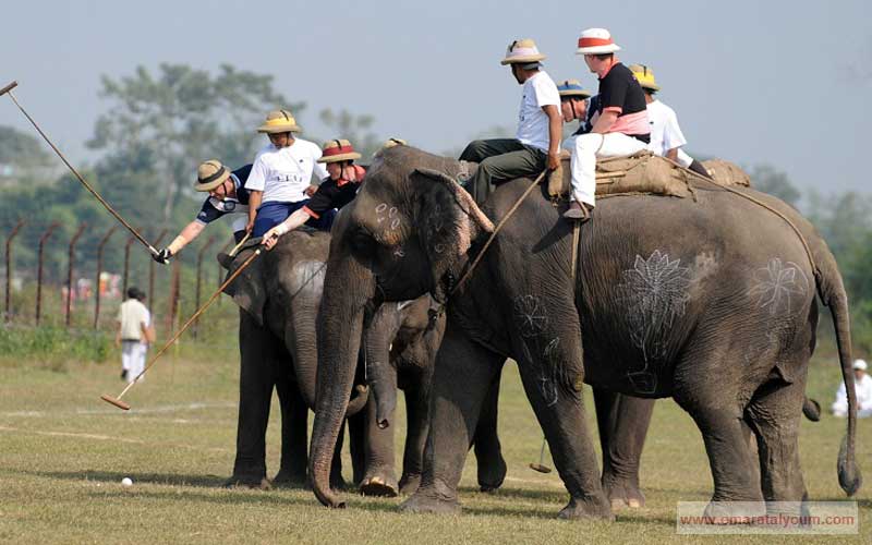 البطولة تجري شتاءً في غابات جنوبي النيبال. أ ف ب