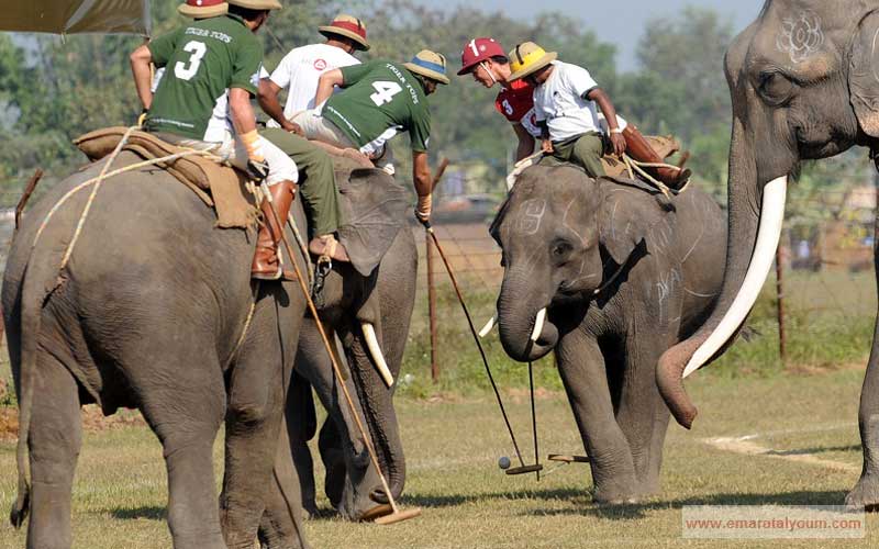 شهدت مدينة شيتوان النيبالية التي تبعد 200 كيلومتراً عن العاصمة كتماندو البطولة الدولية الثلاثين لـ "بولو الفيلة". أ ف ب