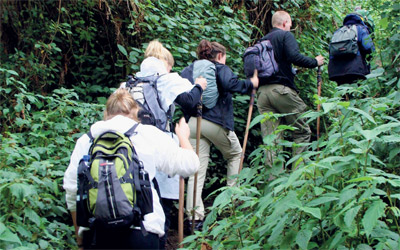 المجموعات لا تتجاوز 8 سياح.      د.ب.أ