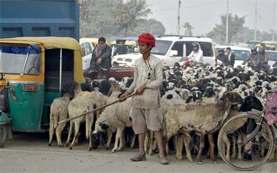 الأجيال الثلاثة لقادة كوريا الشمالية.. الجد ـ كيم إيل سونغ،
والأب ـ كيم جونغ إيل، والابن ـ كيم جونغ أون.            عن «الغارديان»