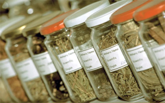 شرطة دبي سبايس أخطر من الحشيش والكوكايين