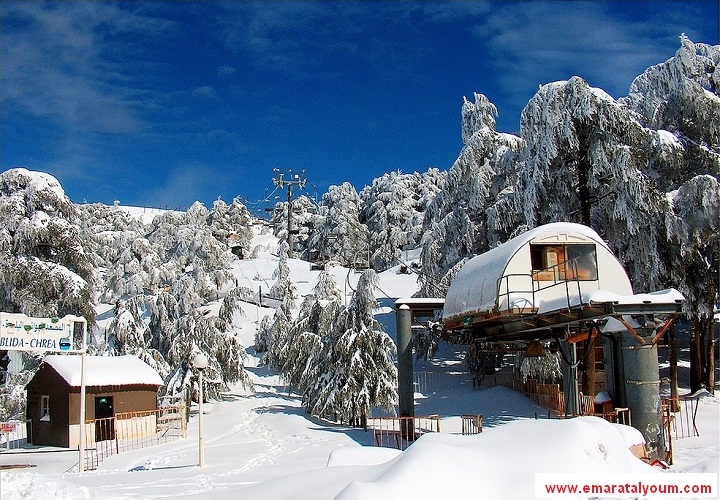منطقة الشريعة -  ولاية البليدة