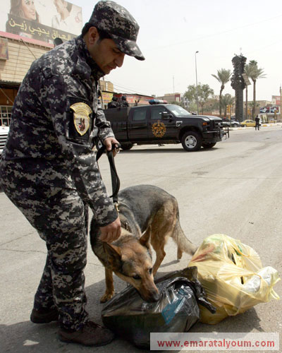 كلب بوليسي يعيش مخاطر الحياة في العراق، حيث يقوم بالتفتيش عن المتفجرات والمفخخات والانتحاريين. إي بي أيه