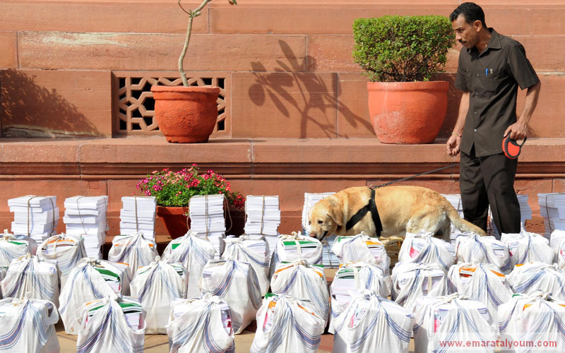 كلب بوليسي يعتمد على حاسة شمه لكشف الجرائم والممنوعات في الهند. إي بي أيه