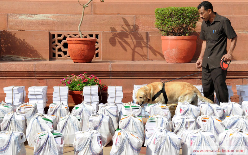 كلب بوليسي يعتمد على حاسة شمه لكشف الجرائم والممنوعات في الهند. إي بي أيه