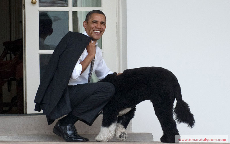 أما كلب أوباما المدلل فهو في مركز صناعة القرار للقوة العظمى الوحيدة في العالم. أ ف ب