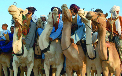 الجمال وقسوة الصحراء محور حياة أبناء الطوارق.	 أرشيفية