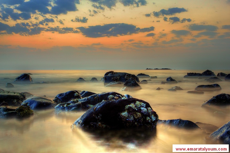 الصور بعدسة القارئ: عبيد مصبح ضحي - شاطيء العقة