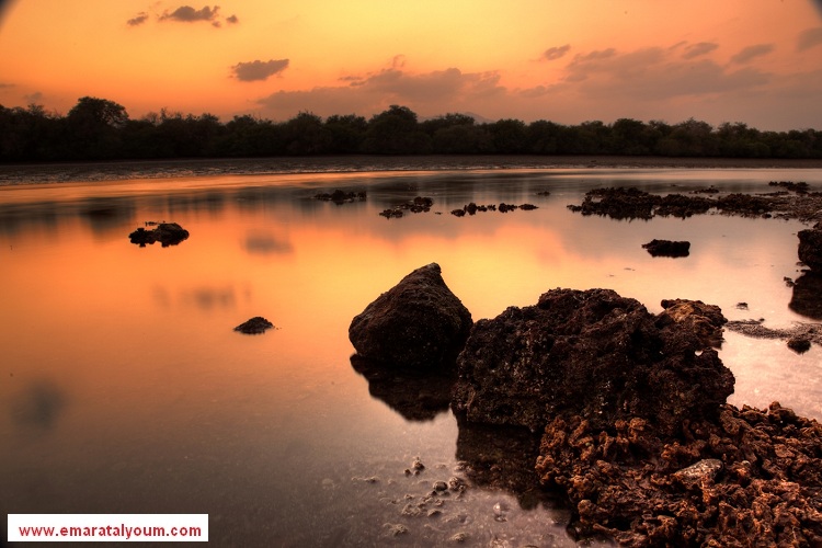 محمية كلباء الطبيعية