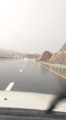 بعدسة القارئ روبرت