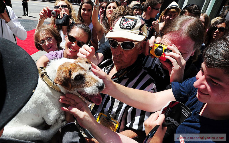 وينضم أوغي بذلك إلى حشد من المشاهير الذين تركوا بصماتهم أمثال مارلين مونرو وجوني ديب وفريد أستير