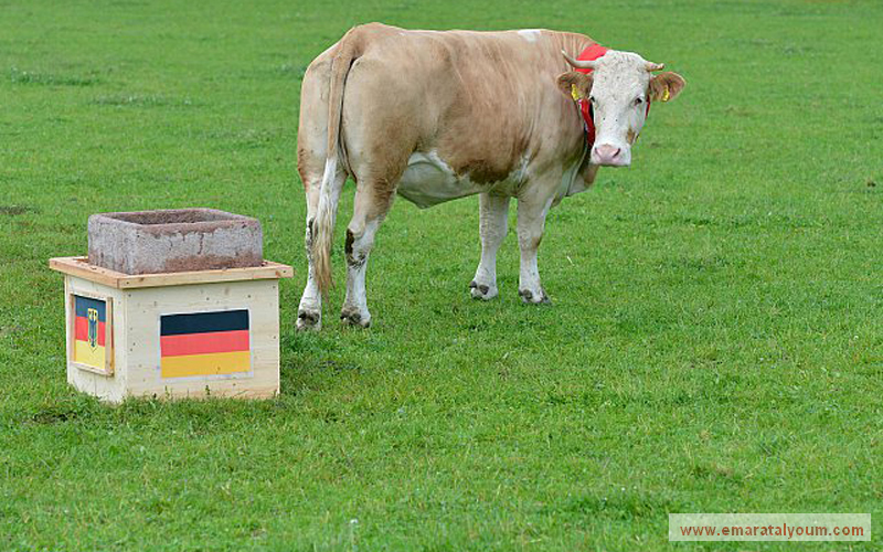 غير أن النتيجة آلت إلى الألمان. د.ب.أ