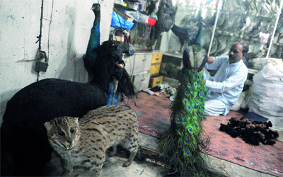 المنافسة الانتخابية تحتدم بين المرشحين ميت رومني وأوباما.