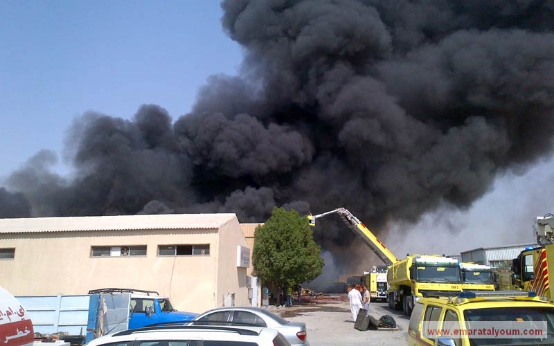 بعدسة محمد أكور.