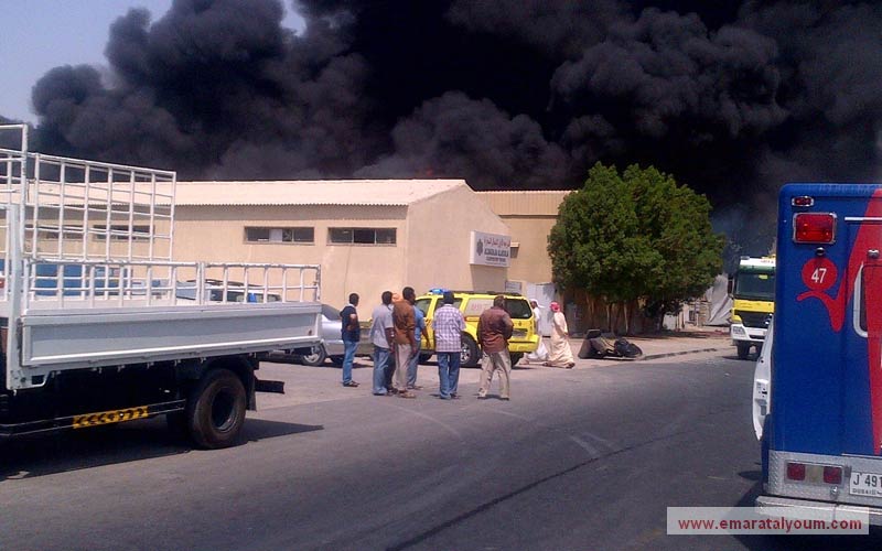 بعدسة بني صخر.