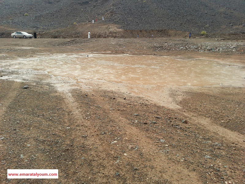 الصور بعدسة القارئ خالد الأميري