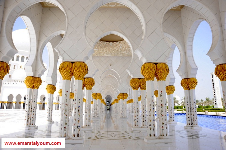 بعدسة القارئ محمد البلوشي