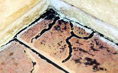 البودرة السوداء تلوث البيئة وتلتصق بالبيوت والسيارات.